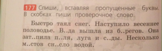 Спишите предложения вставляя пропущенные буквы подбирая проверочные слова составьте схемы 5 класс