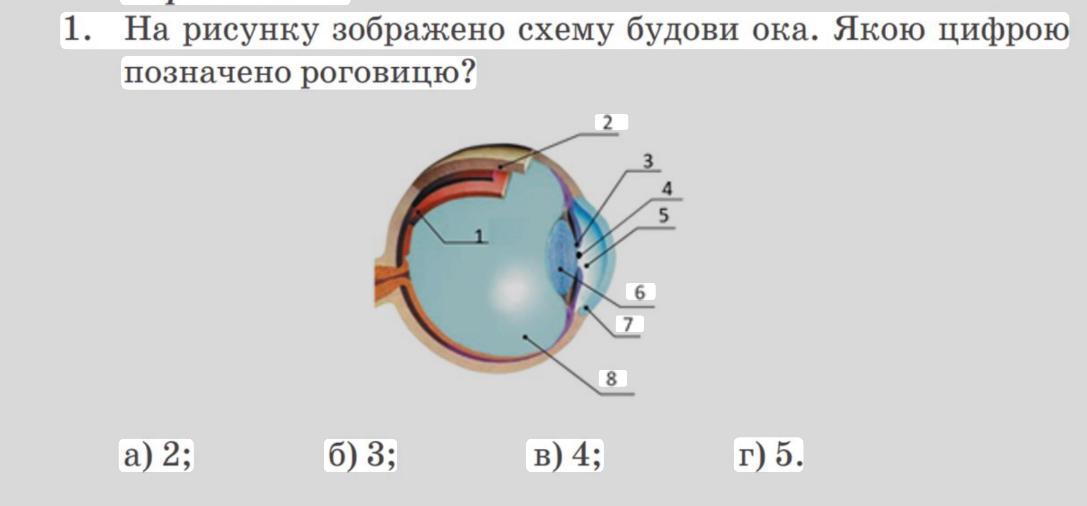 [
На рисунку зображено схему будови ока. Якою цифрою позначено роговицю?
Приложения:
![
