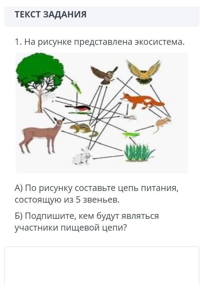 Изучите фрагмент экосистемы представленный на рисунке и выполните задания