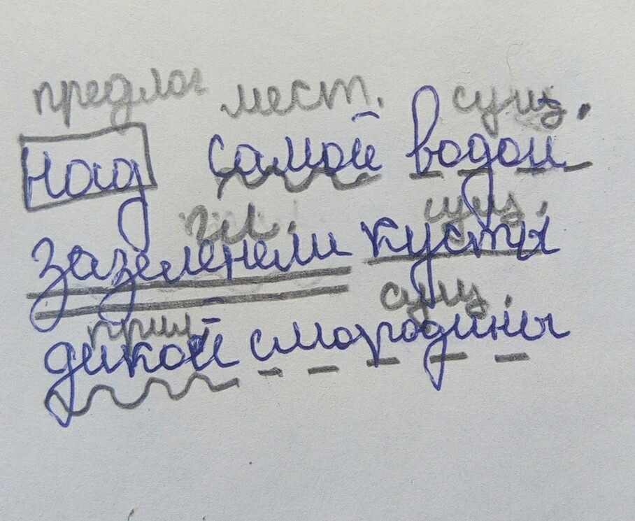 Дождь под цифрой 4 разобрать. Над самой водой зеленели кусты дикой смородины разобрать предложение. Над самой водой зеленели кусты дикой смородины грамматическая основа. Над самой водой зеленели кусты дикой смородины. Разбор предложения над самой водой зеленели кусты дикой смородины.