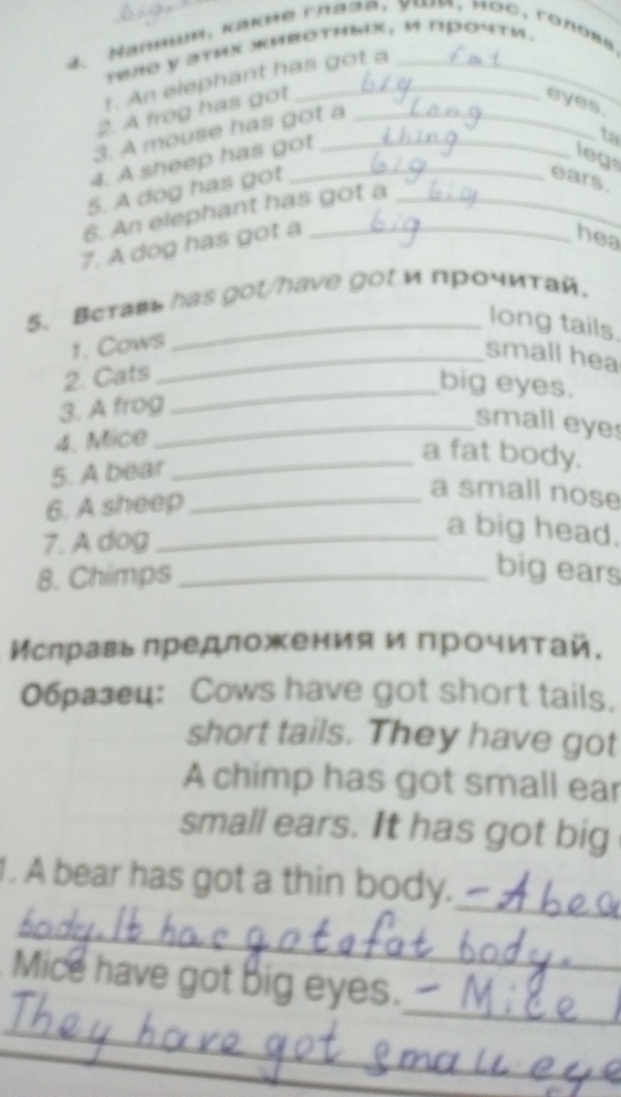 Тебе сообщают удивительные факты переспроси как показано в образце английский язык 3 класс