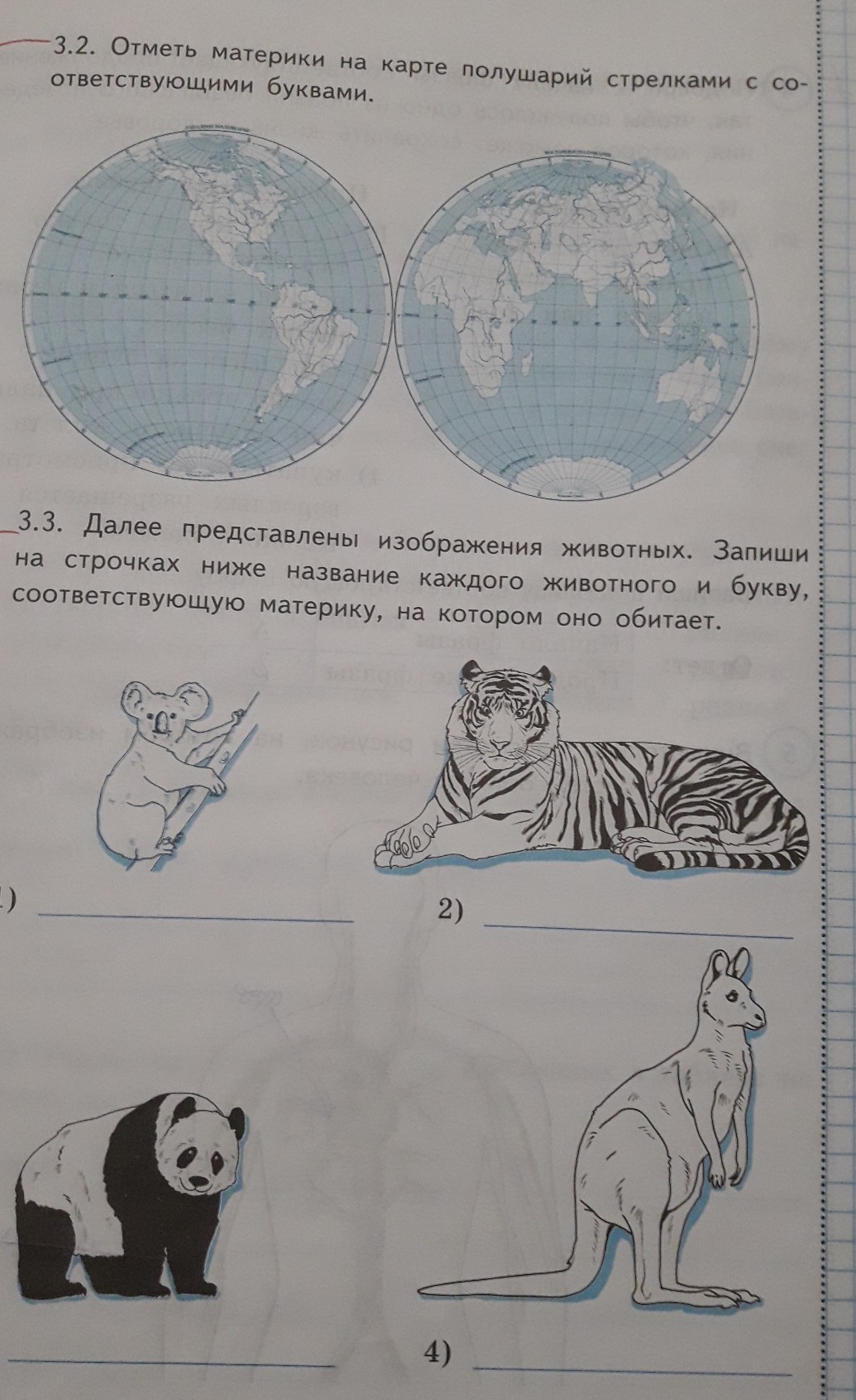 Рассмотрите рисунки запишите название каждого предмета. Запиши названия животных которые. Название каждого животного и букву соответствующую материку. Буква соответствующая материку. Буквы соответствующие материкам.