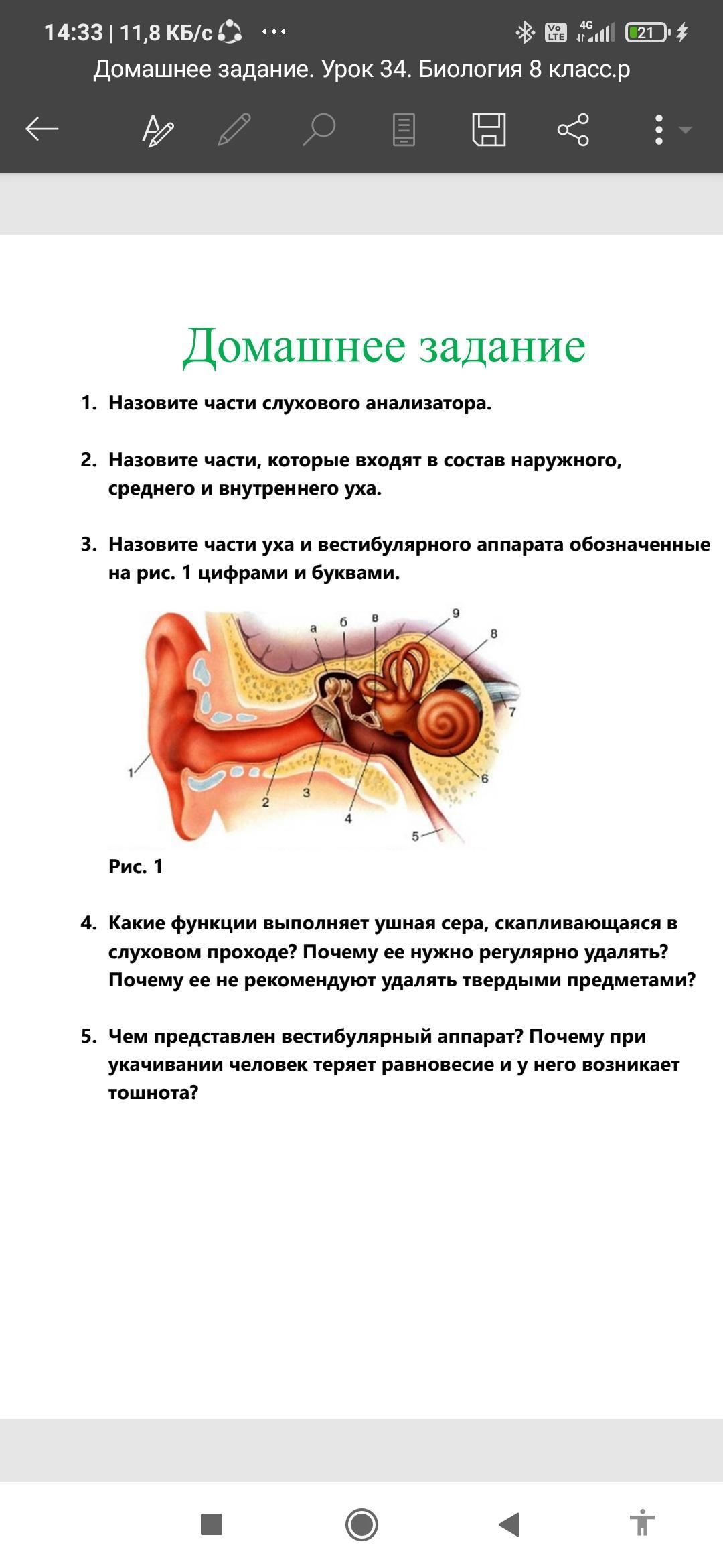 Строение уха биология 8. Делают ДЗ по биологии.