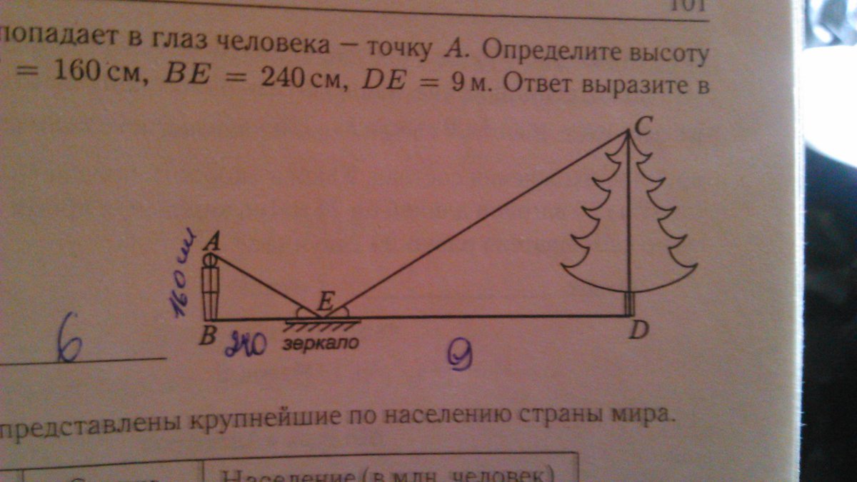 Для определения высоты дерева можно использовать зеркало так показано на рисунке 203 как