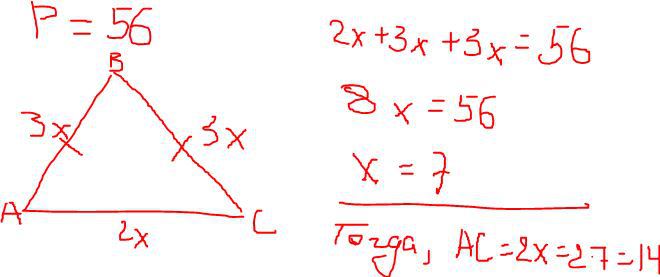 Периметр треугольника равен 56