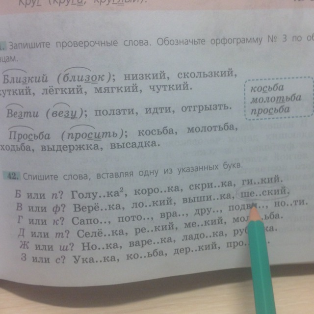 Слово «Косарь» какое проверочное слово к букве "о"?