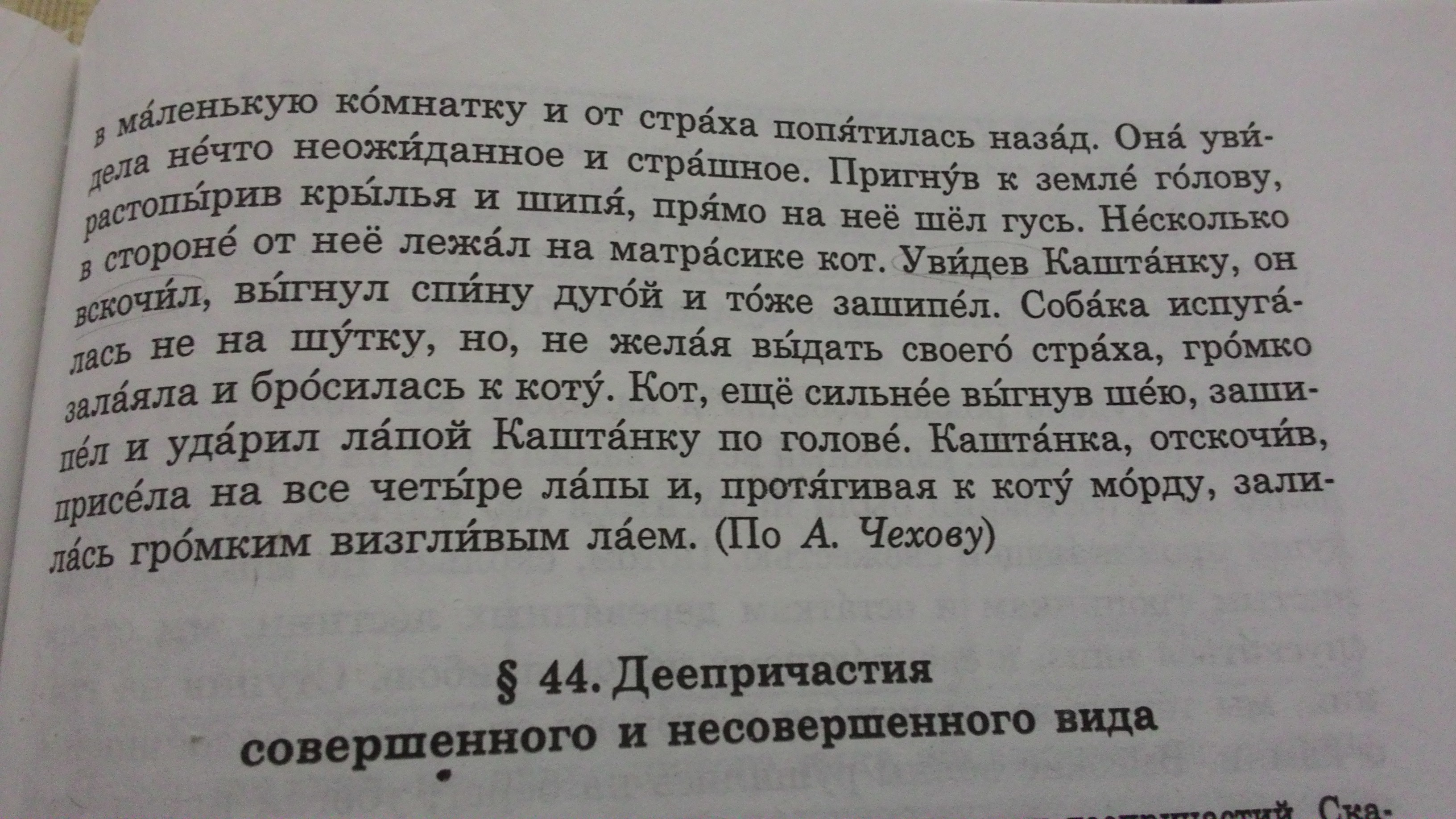 Несколько в стороне от него на матрасе лежал белый кот увидев каштанку