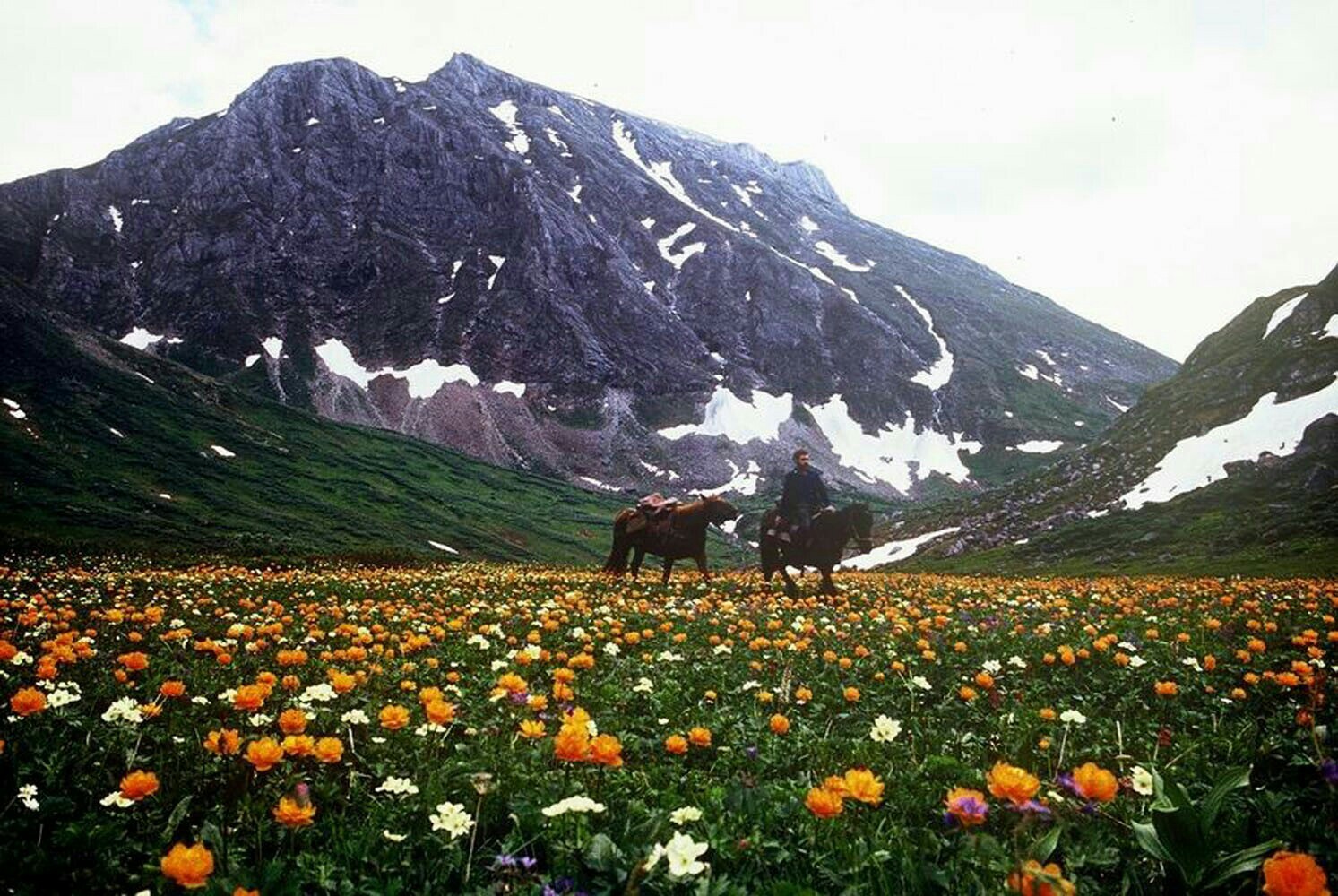 Гор саяны. Саянские горы Красноярск. Горы Алтай и Саяны. Восточные Саяны горы. Тыва Саянские горы.