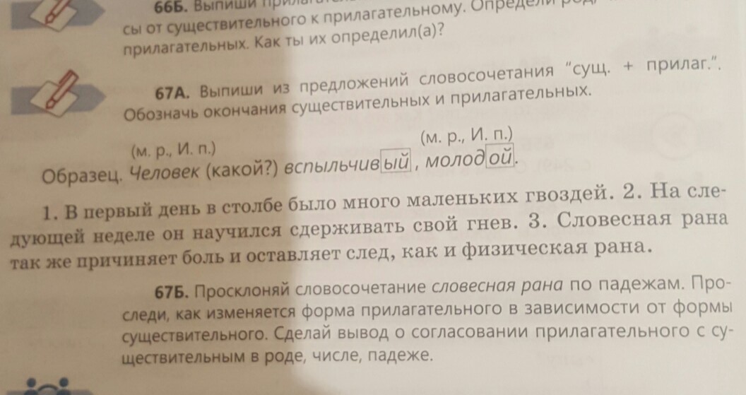 Выпиши из предложения словосочетания существительные