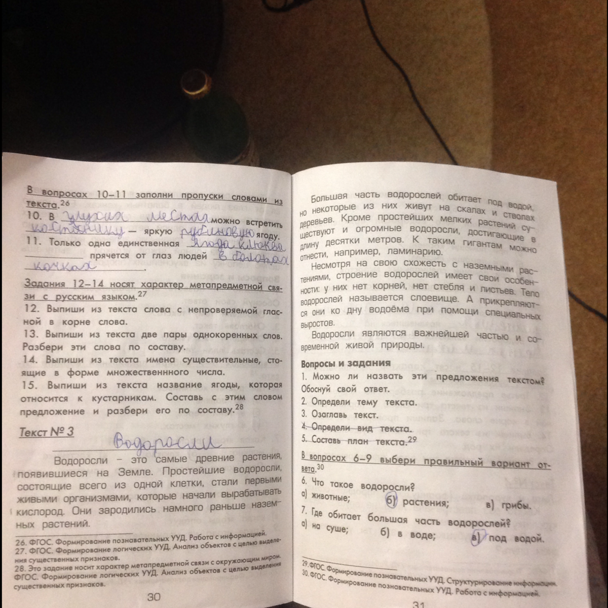 Выпиши из текста предложения в которых. Выпиши из текста 3 слова. сборник выпиши из текста. текст вариант выпиши из текста. голубь русский язык правописание гласных и согласных в корне слова.