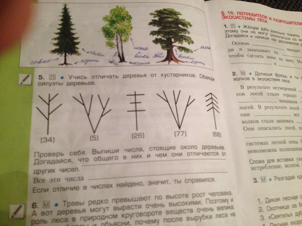 Ответы задание 5