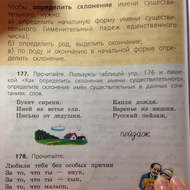 Русский язык 4 класс 178. Букет сирени определить склонение. Сирень склонение. Определить падеж и склонение существительных:букет сирени. Склонение существительного иней.