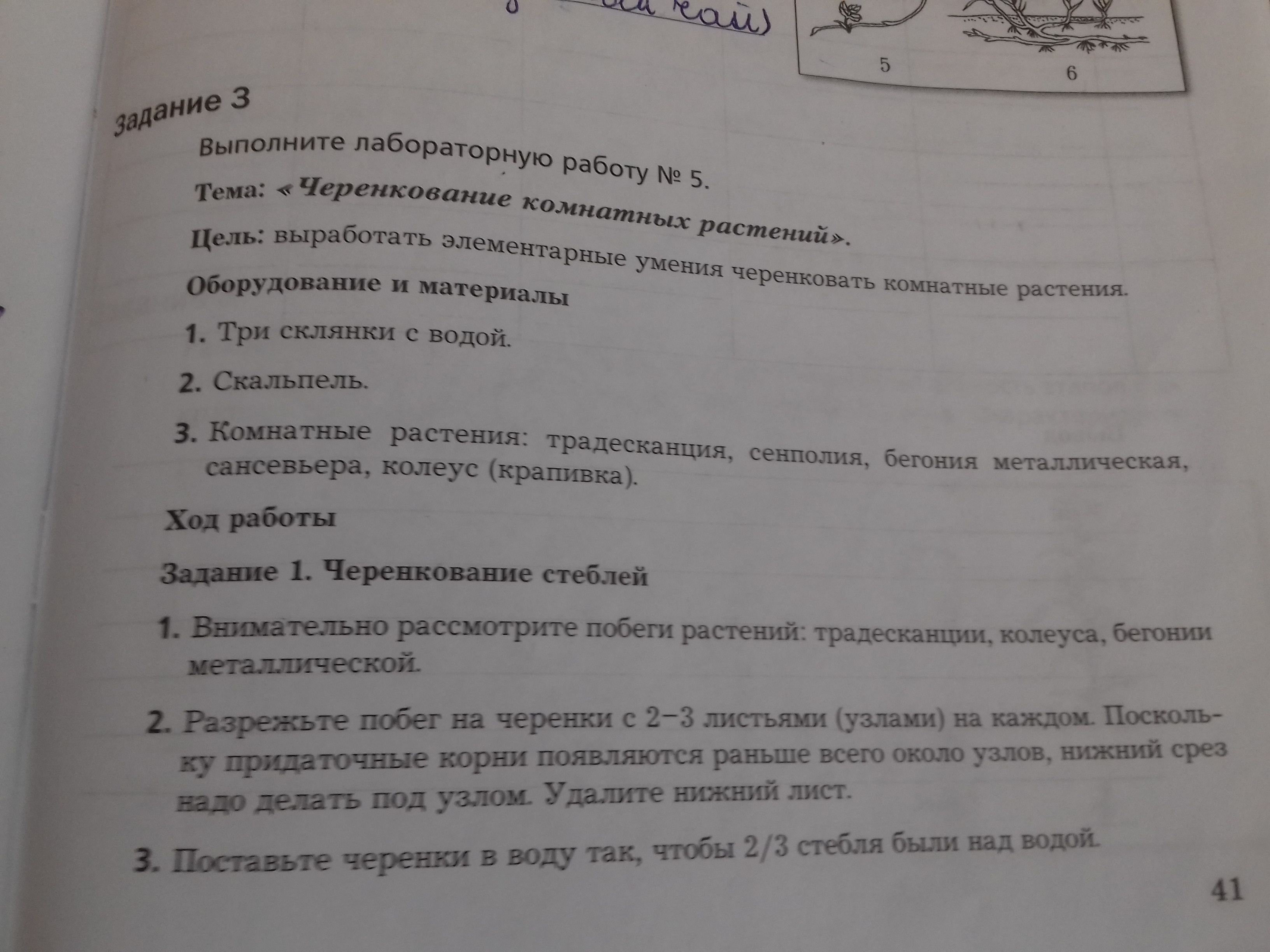 Оформление лабораторной работы по биологии. Биология 9 класс Пономарева лабораторная работа 6. Биология 9 класс Пономарева лабораторная работа 5.