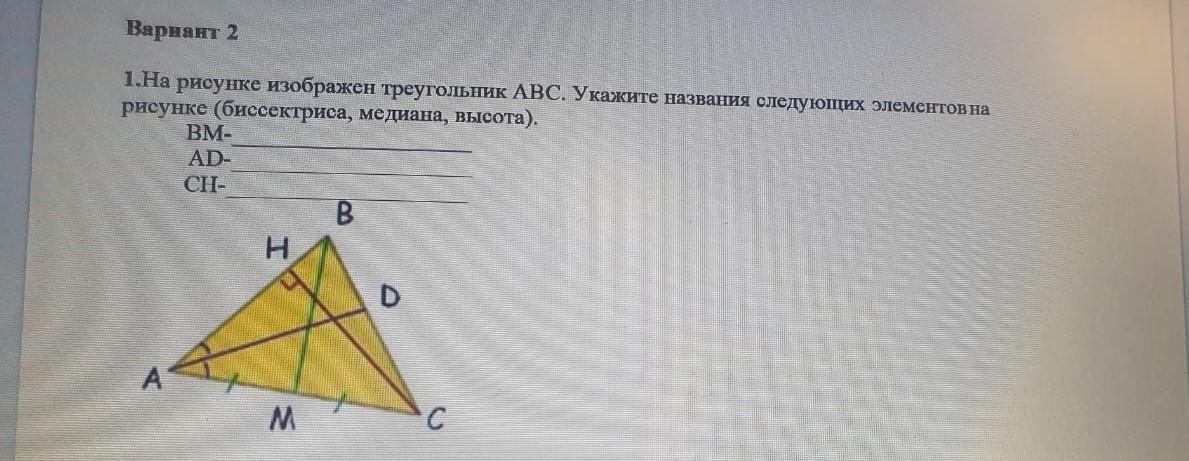 Биссектриса треугольника изображен на рисунке