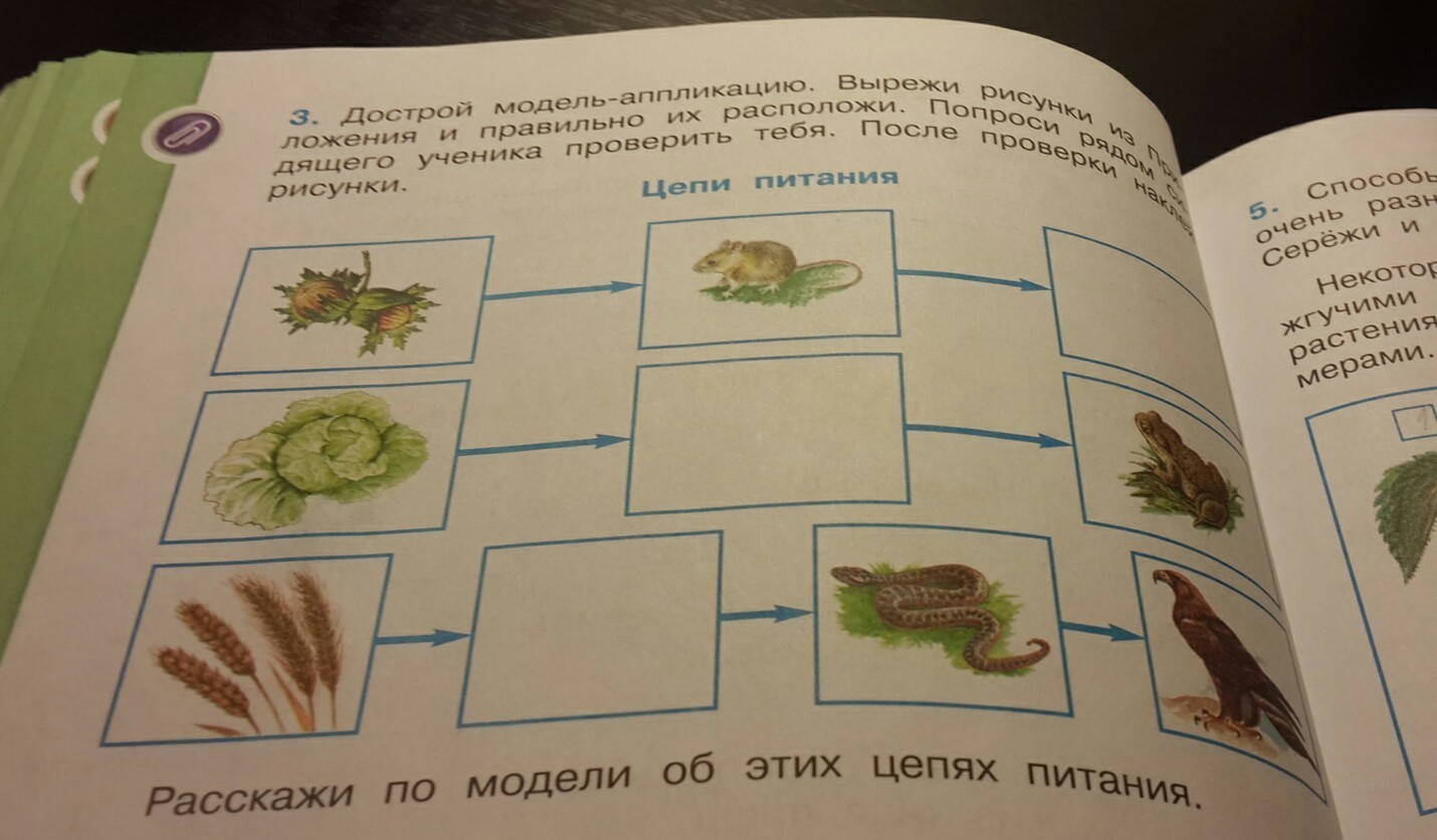 Вырежи детали из приложения и собери схему аппликацию