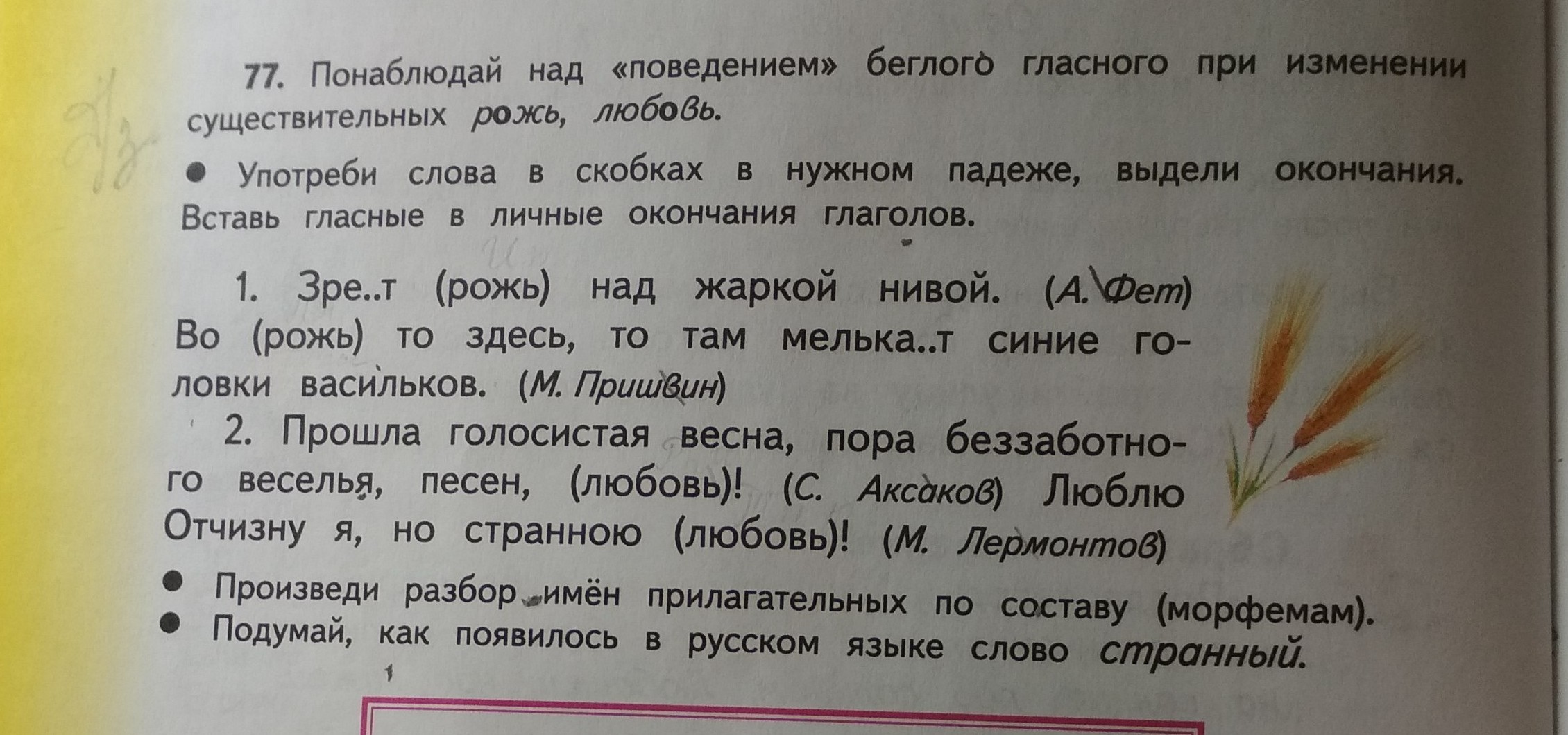 Упражнение 77. Рожь падежи. Окончание у слова ржи. Рожь окончание. Именительный падеж рожь.