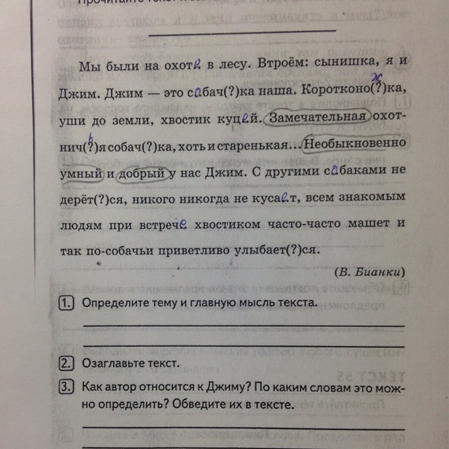 Основная мысль текста для меня самым главным. Джим это замечательная охотничья. Джим это наша собачка.