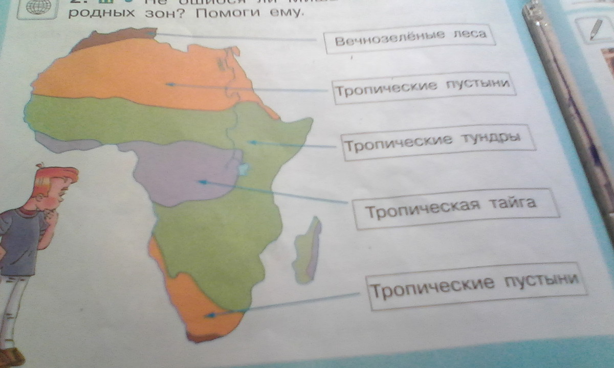 Запиши соответствующие названия природных зон