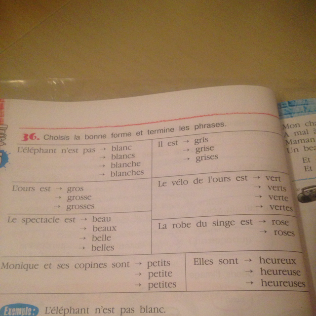 Les phrases. Choisis est ou a французский 5 класс. Elephant n'est pas Blanc. Choisissez la bonne Variante 9 класс. Choisis est ou a 28.