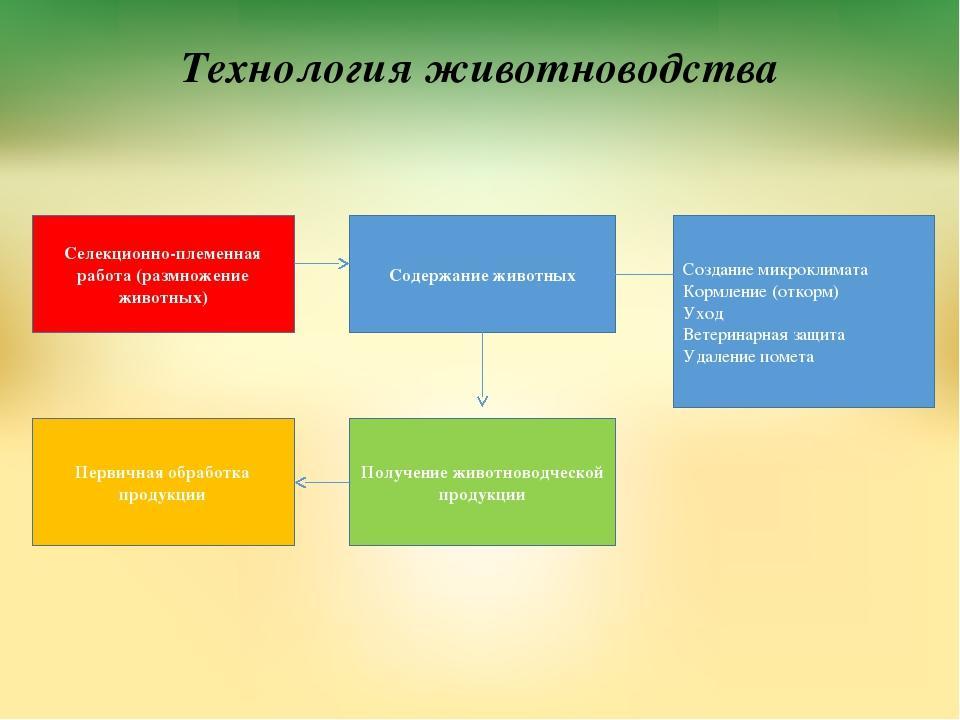 Элементы производства. Производство продукции животноводства схема. Основные элементы технологии получения животноводческой продукции. Схема производства животноводство. Технологические процессы в животноводстве.