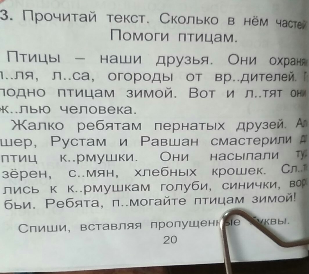 Началось классное собрание его избрали. Сколько частей в тексте. Читать текст. Прочитать текст с фото. Прочитай текст всё ли здесь правильно? Экскурсия.