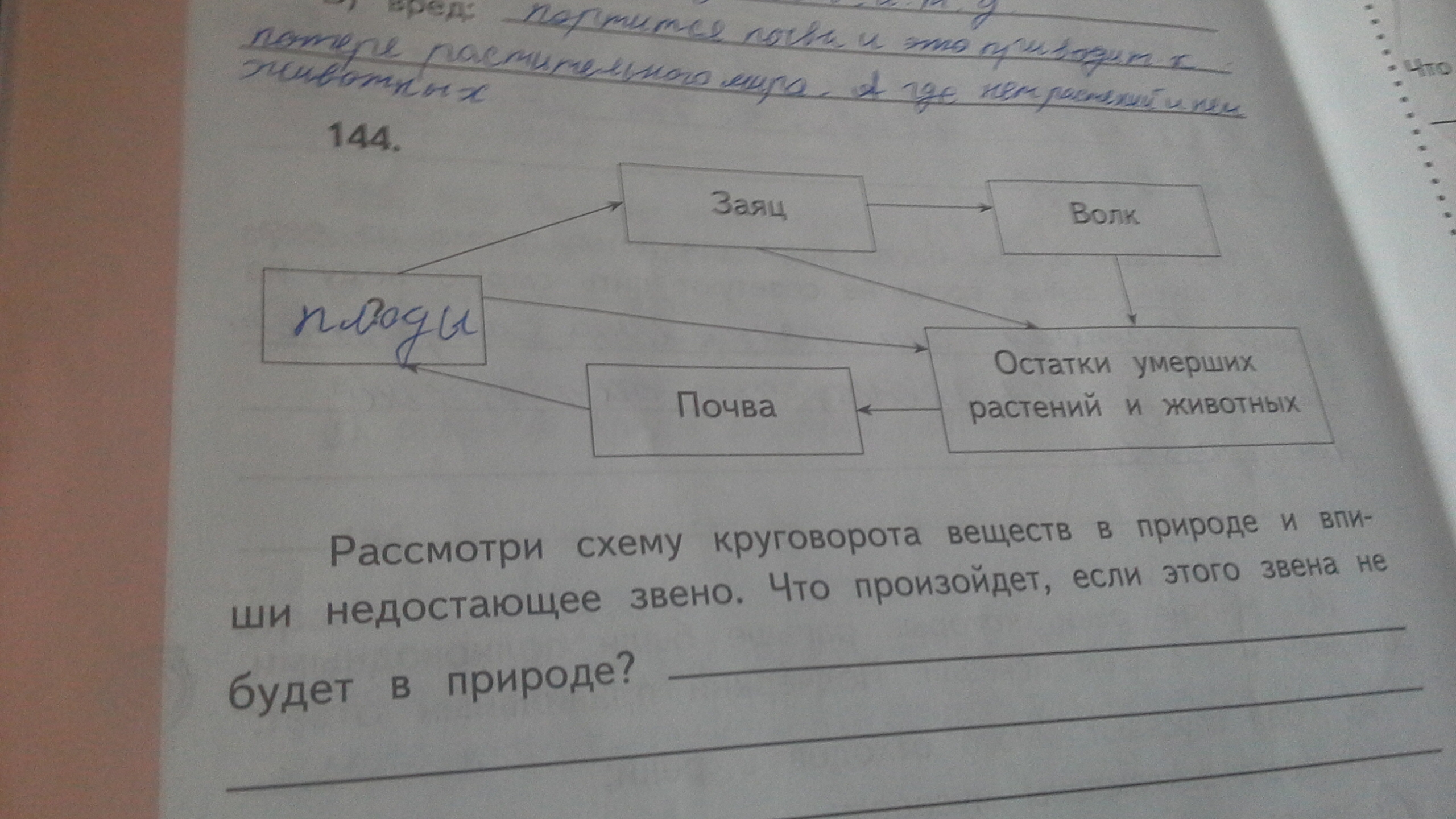 Заполните недостающие звенья схемы. Звенья круговорота веществ. Пищевые Цепочки примеры.