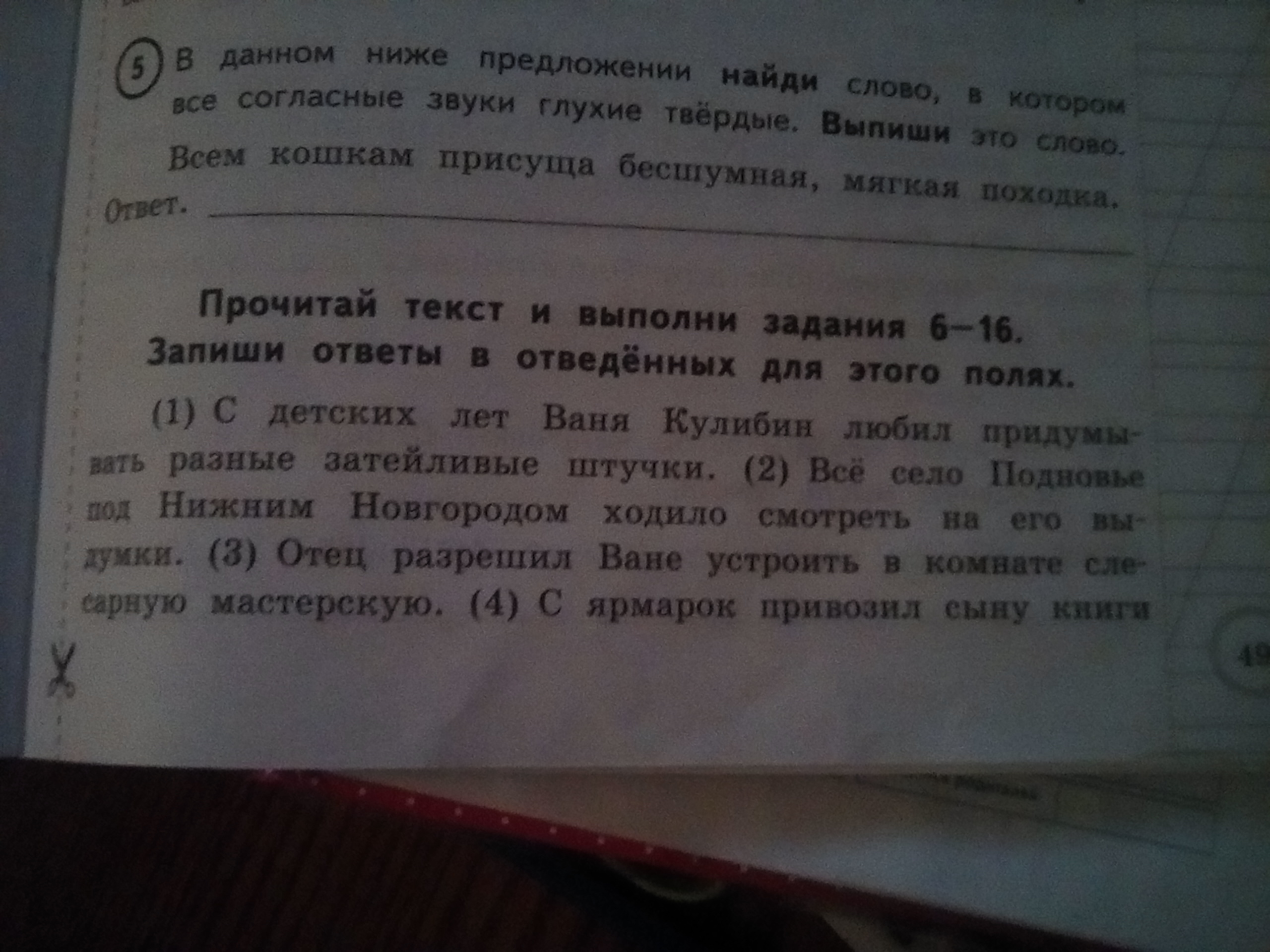 В предложении 11 найди слово. В этом предложении слово где все согласные звуки глухие. Выписать Твердые слова в предложениях. Звуки глухие и Твердые всем кошкам присуща бесшумная мягкая походка. С детских лет Ваня Кулибин любил придумывать.