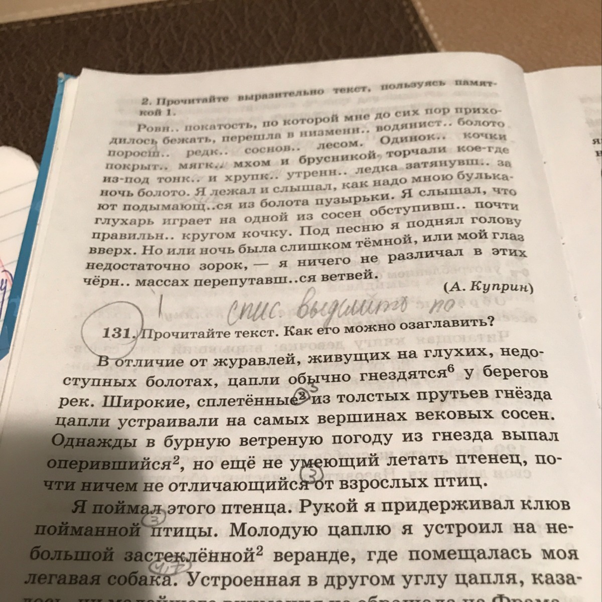 Ночь диктант 9. Текст в отличие от журавлей живущих на глухих.