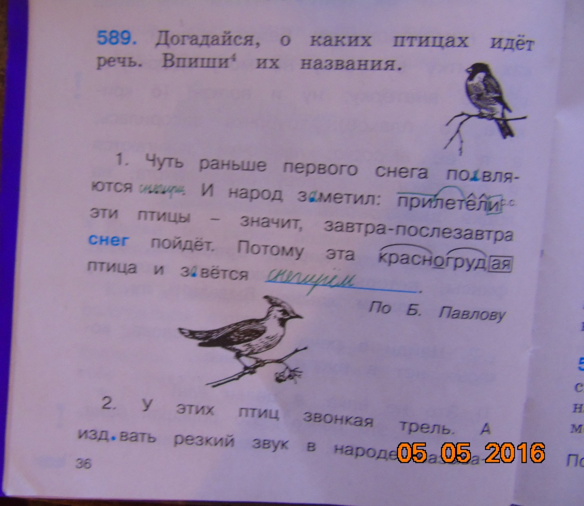 Найди слово птицы 5. Какое лицо в слове птицы.