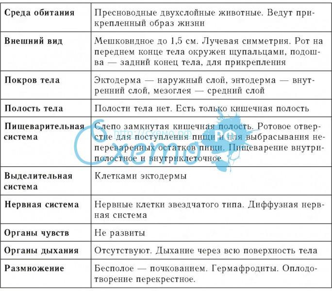 урок с презентацией в 7 классе по теме тип …