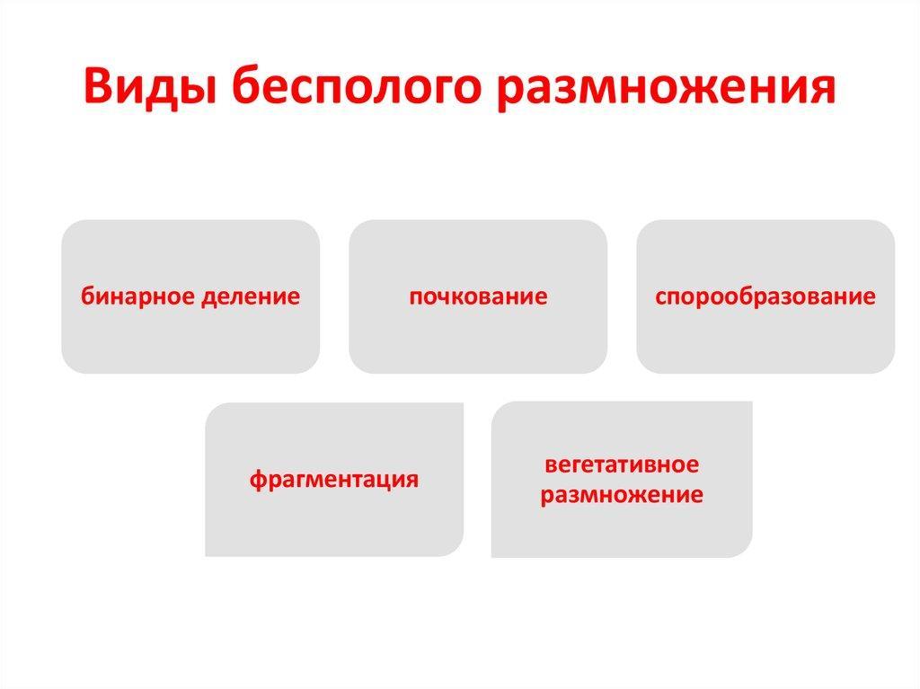 Виды размножения и примеры