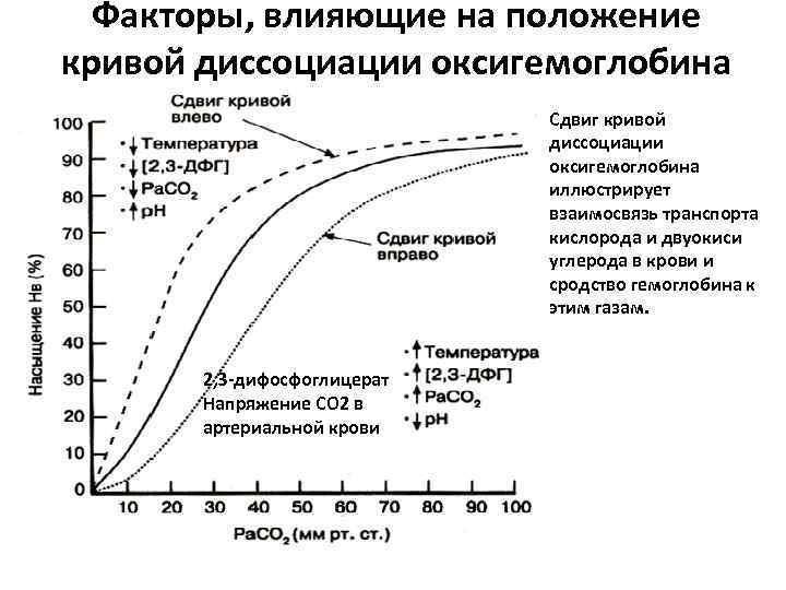 На графике изображена кривая диссоциация гемоглобина - Знания.org