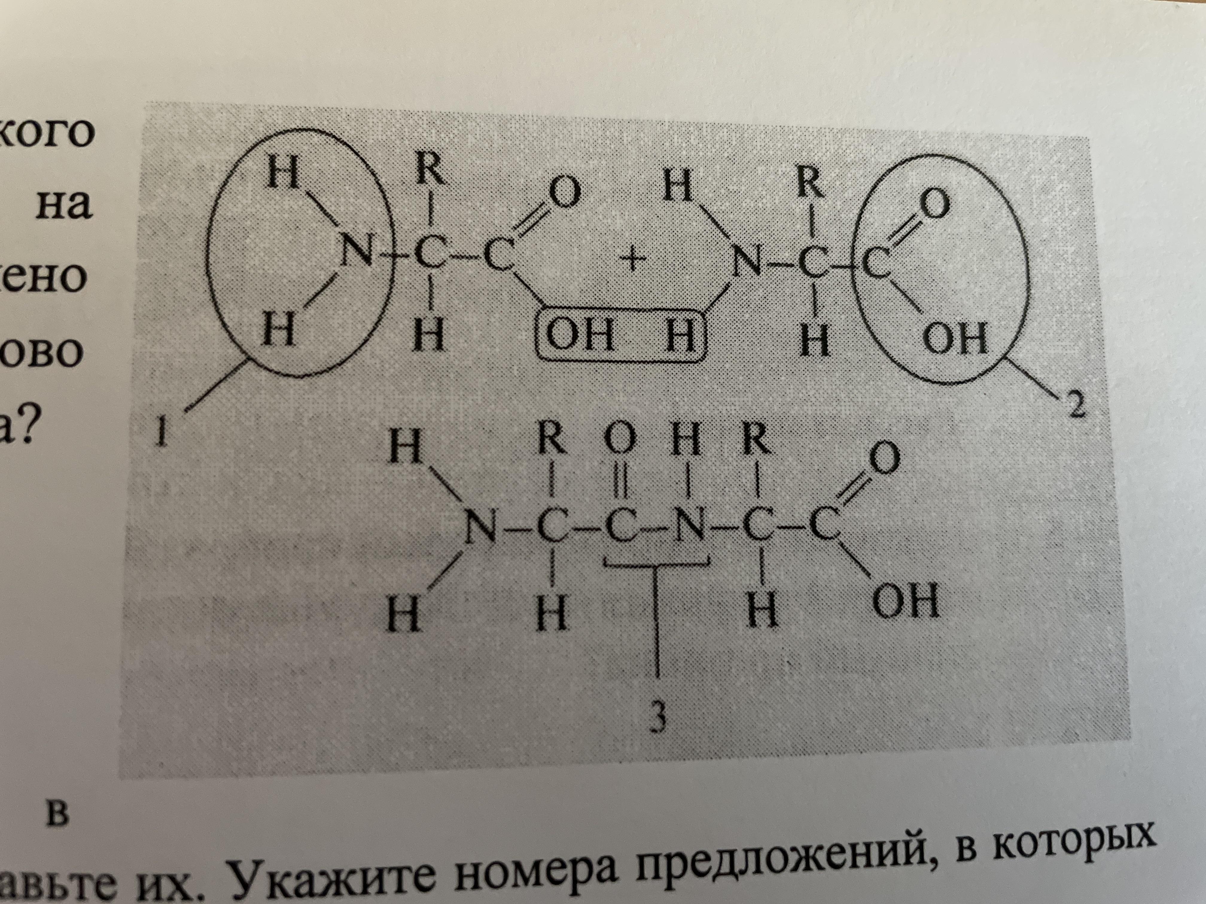 Как называется изображенная на рисунке схема какие данные