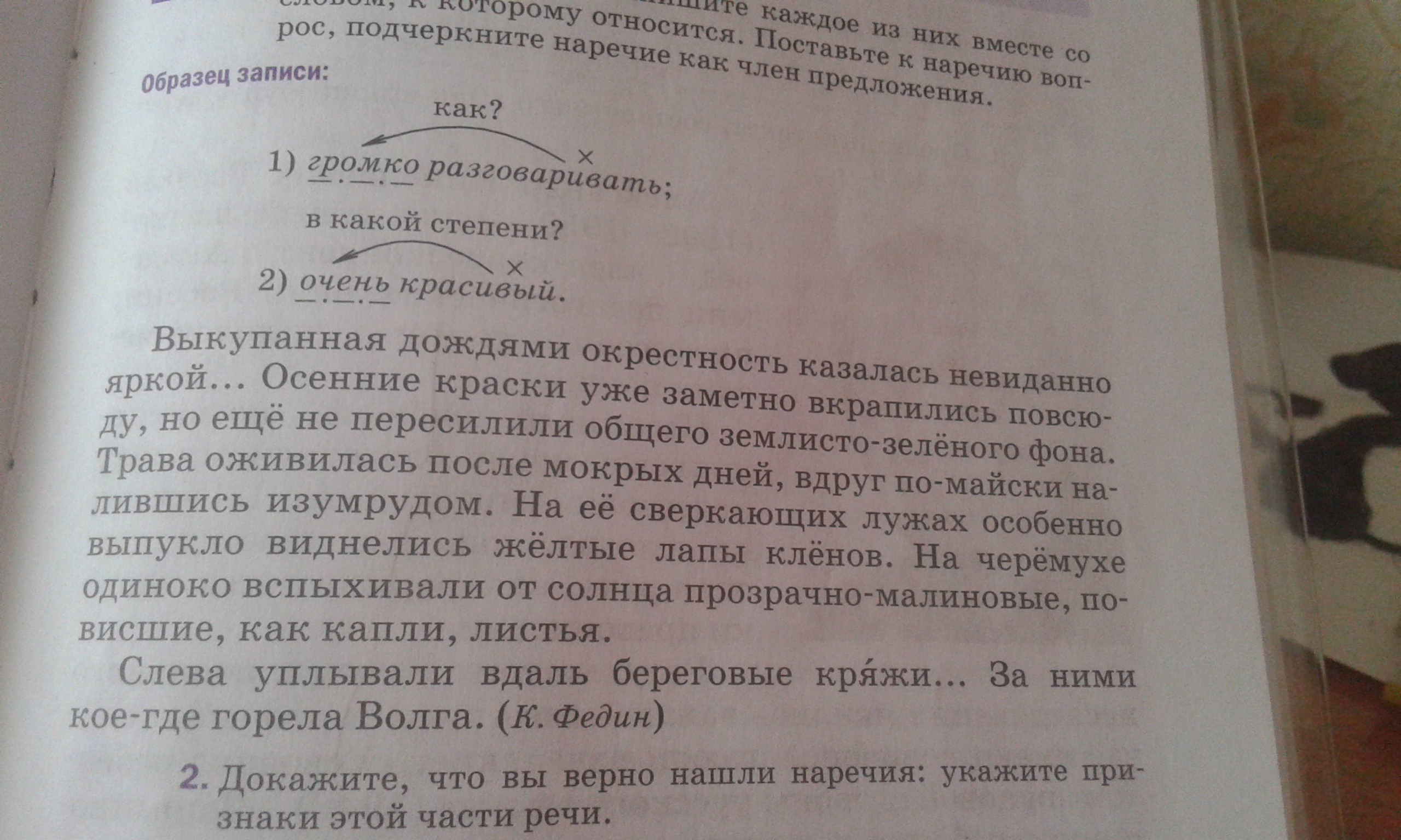 Солнце уже скрылось за. Кое где виднелись небольшие леса и усеянные. Между тем перед глазами ехавших расстилалась. Кое где виднелись небольшие леса и усеянные. Лес эпитеты.