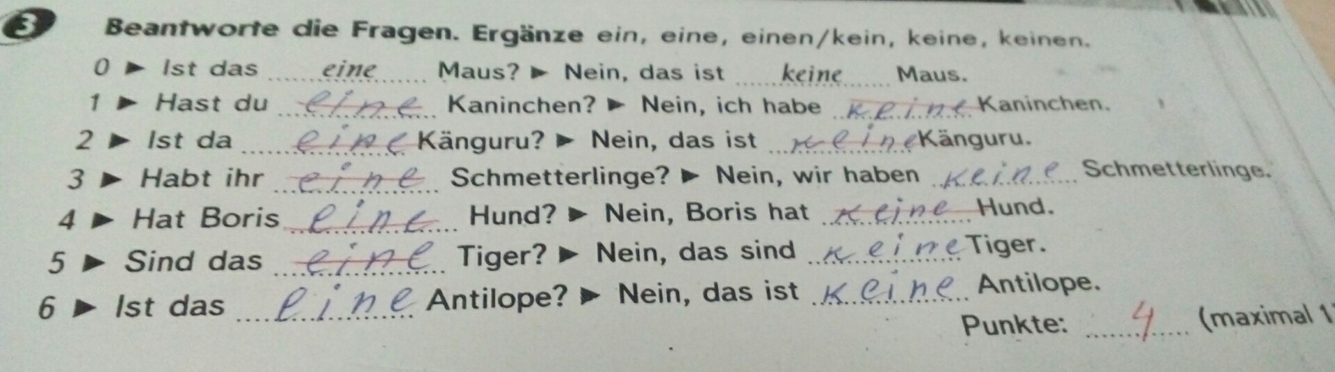 Das fragen. Ein eine einen в немецком языке. Когда употребляется eine ein einen. Заполни пропуски напиши eine ein kein keine. Заполни пропуски напиши eine/ein keine/kein в правильной форме немецкий язык.