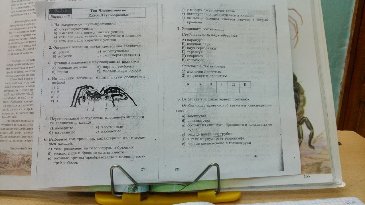 Биология 7 класс 2 вариант ответы. Вопросы по биологии 7 класс. Вопросы по биологии 7 класс с ответами. На головогруди у паука крестовика отсутствуют усики. Биология 7-8 класс.