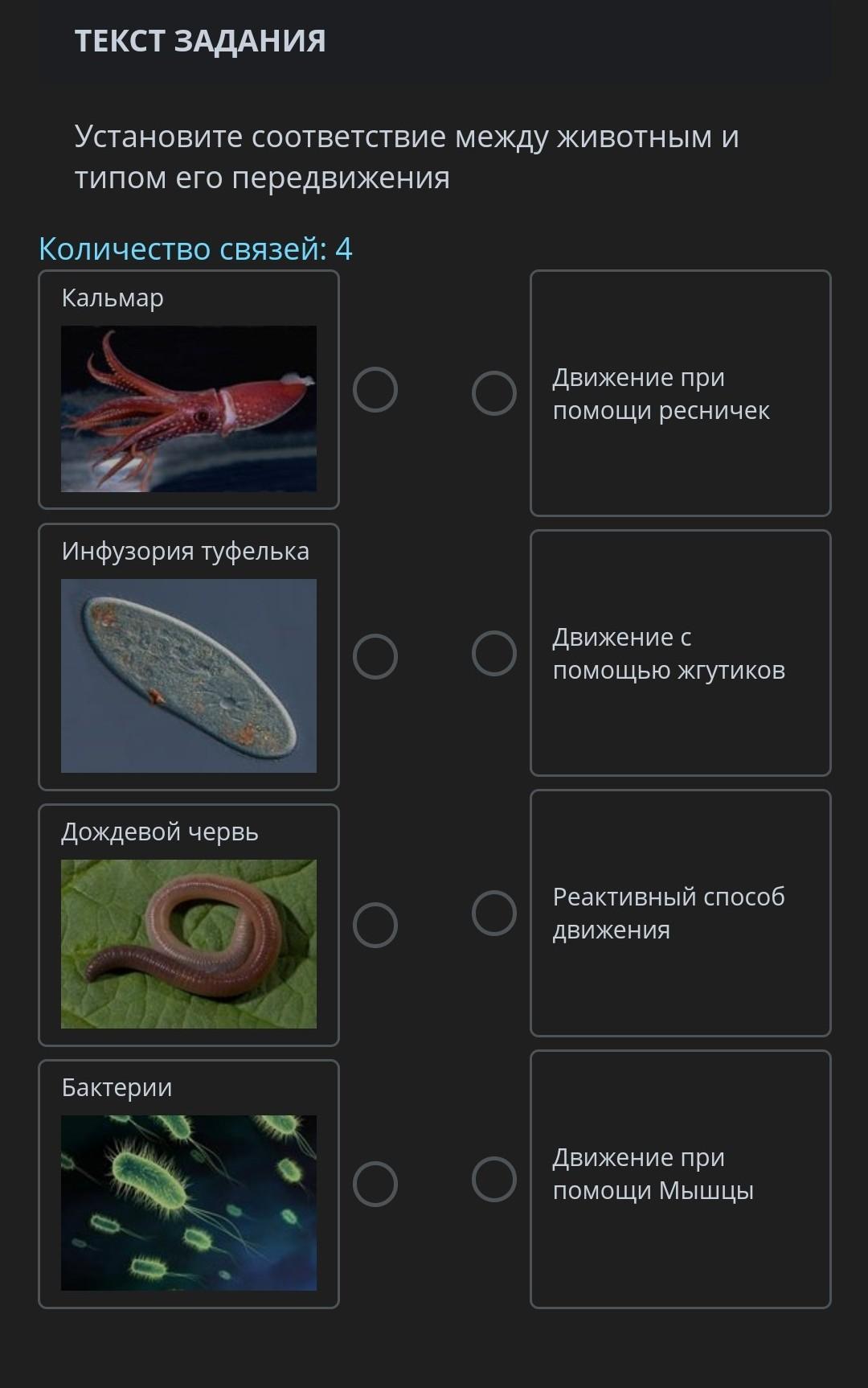 Установите соответствие между животными и особенностями выделения