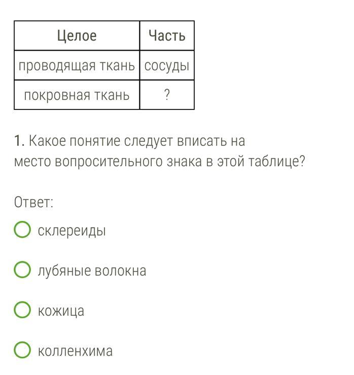 В приведенной ниже таблице между