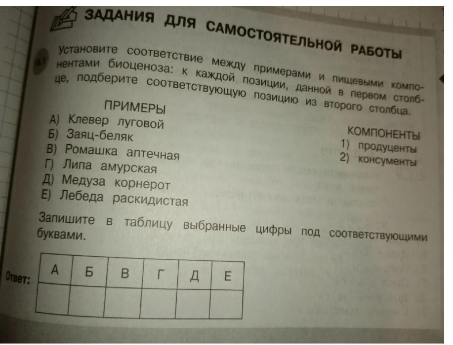 Установите соответствие между объектами 2 столбцов. Установите соответствие между семьей и примерами. Установите соответствие между аналитическими записями. Установите соответствие между номером фильтра и размером пор:. Установите соответствие могут жить десятки лет.