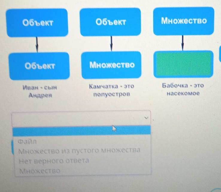 Заполни пропуск в схеме выбрав верный ответ информационный объект число символ