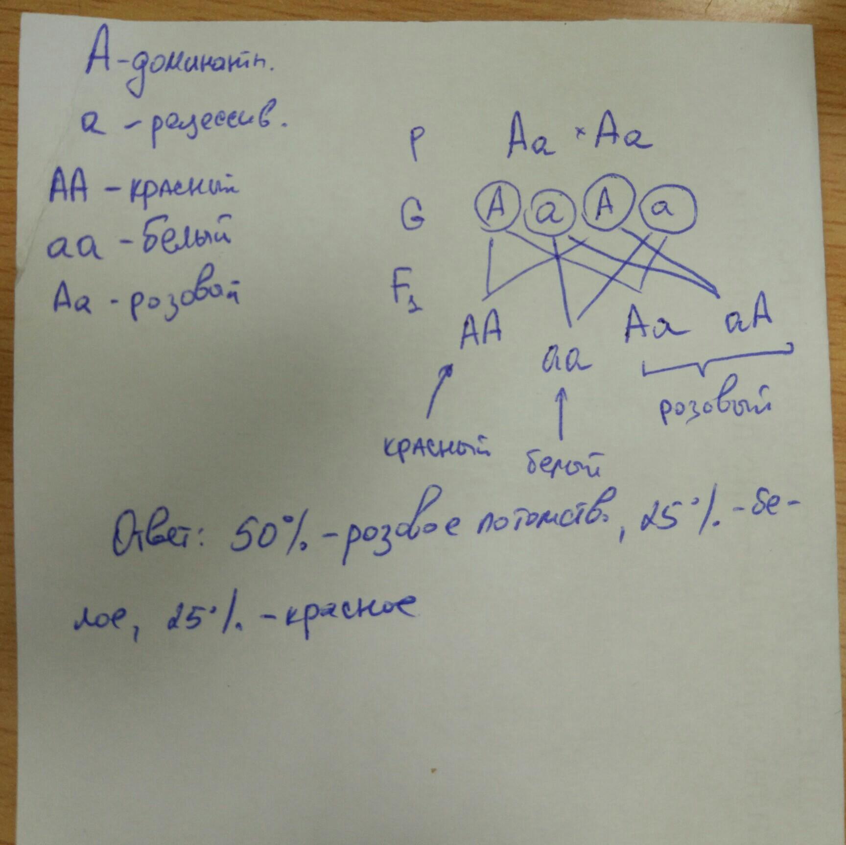 Красная окраска доминирует над желтой. У львиного зева красная окраска цветков неполно доминирует над белой. У флоксов белая окраска цветков доминирует над розовой.