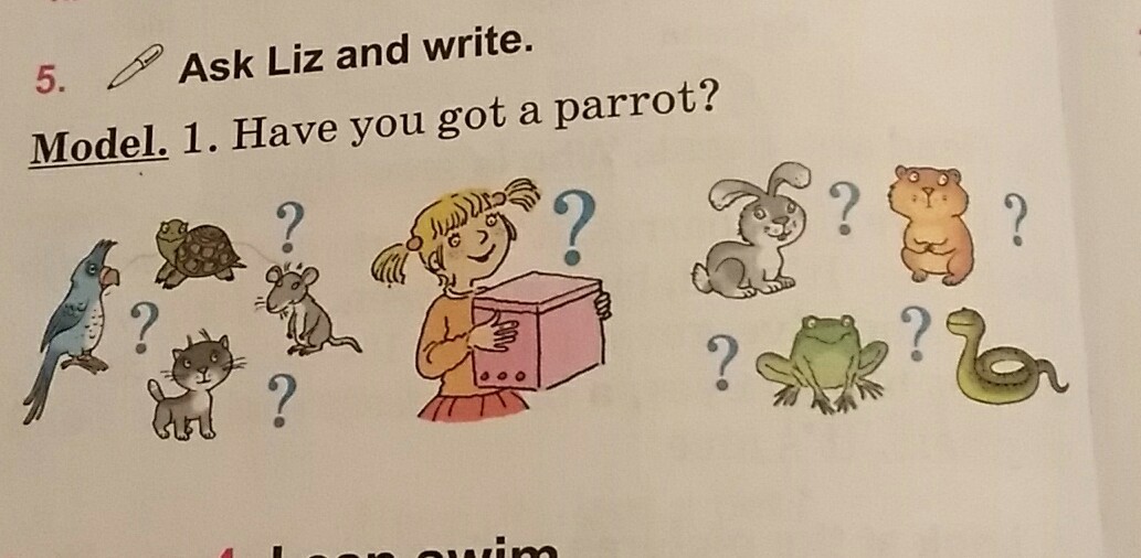 Have you got a. Has got a Parrot. Parrot перевод на русский язык с английского языка. I have got a Parrot . Читать. It s got попугай англ.