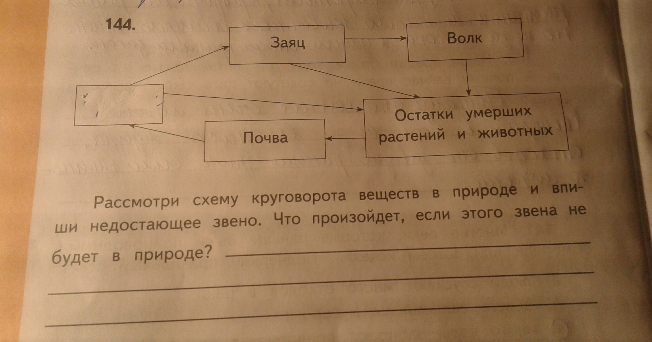 Вставь в цепь. Рассмотри схему круговорота веществ в природе и впиши недостающее. Недостающие звенья в цепях питания.