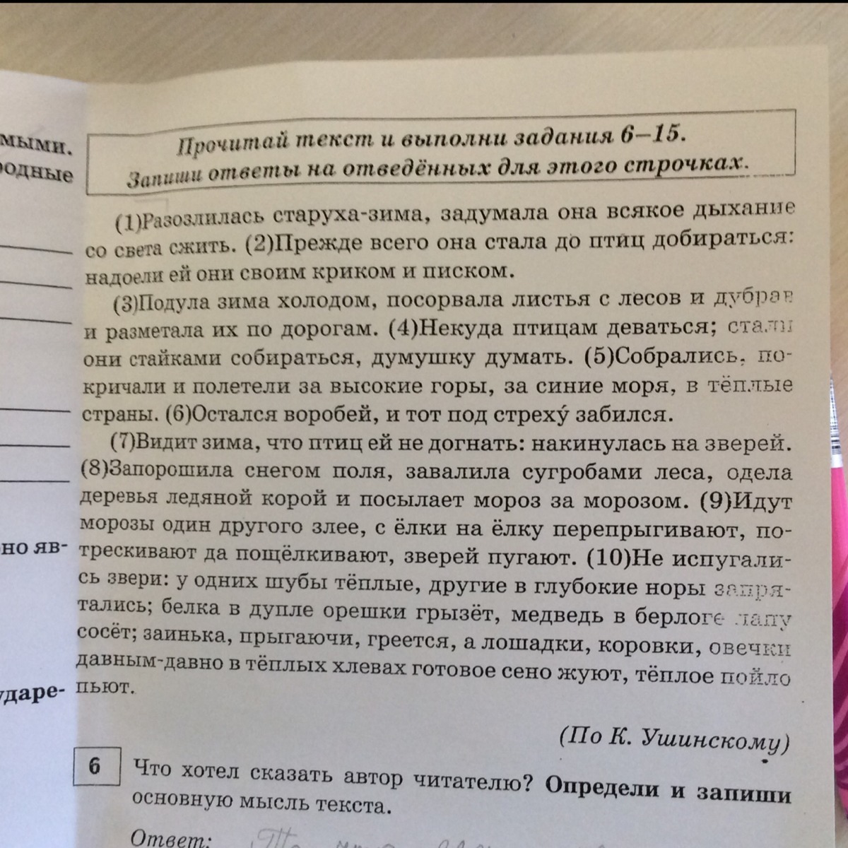 В журкиной комнате между стенкой и высоким окном основная мысль текста