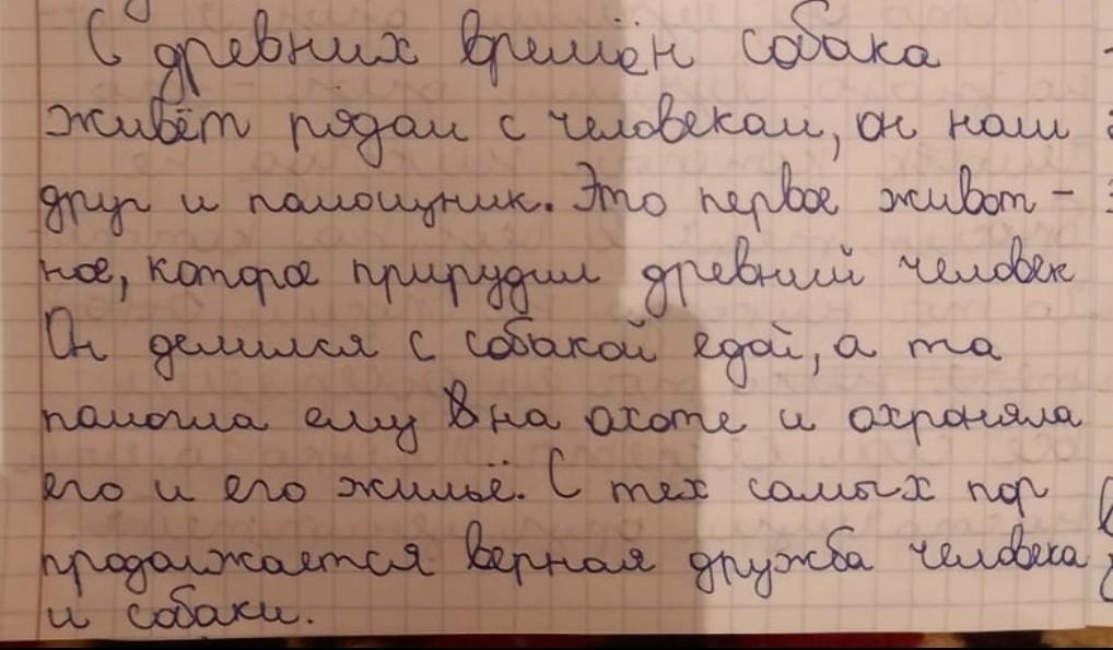 В соответствии с планом изложите основное содержание прочитанного текста