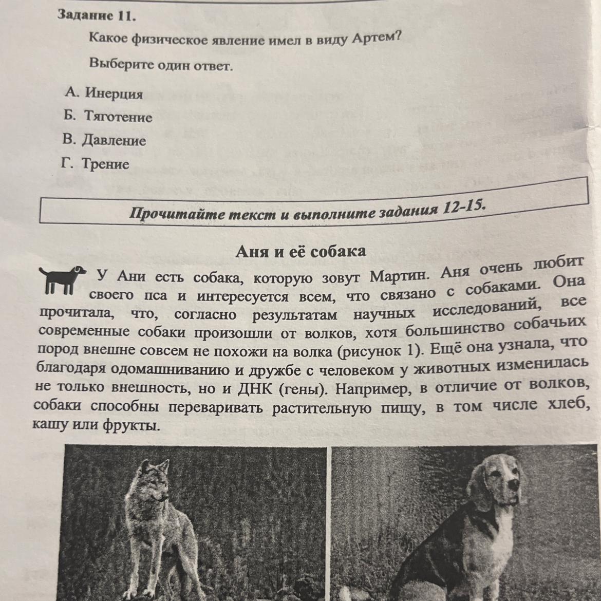 Собачьи почему книга. Аня и ее собака. Стихотворение в котором рассказывается об особых умениях собак.