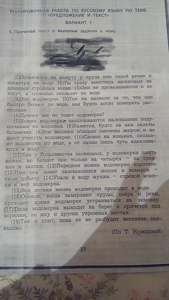 Составь план пересказа текста почему лист зеленый