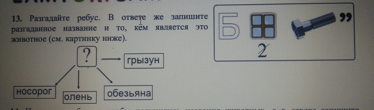 Отгадайте ребусы заполните звуковые схемы прочитайте с их помощью слова