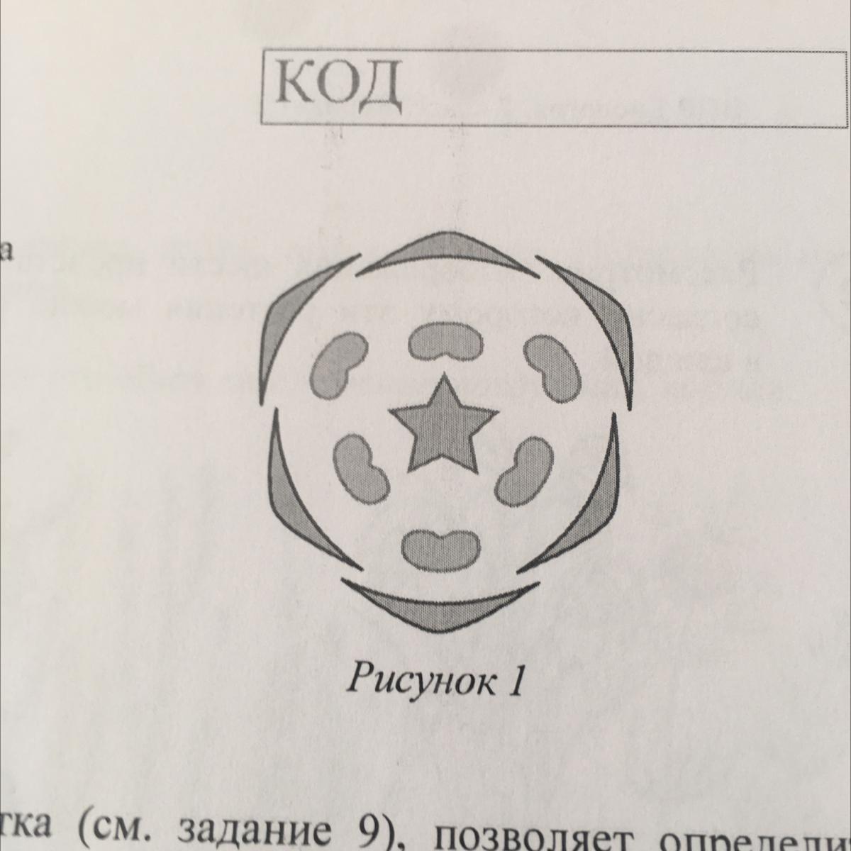 К какому классу относят растение лист которого показан на рисунке 1 папоротниковые двудольные