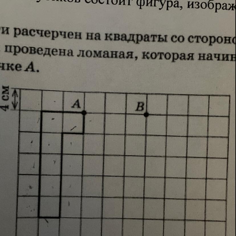 На рисунке дано поле расчерченное на квадраты со стороной 4 см